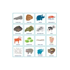 Graham & Green Games & Puzzles<Poo Bingo Game