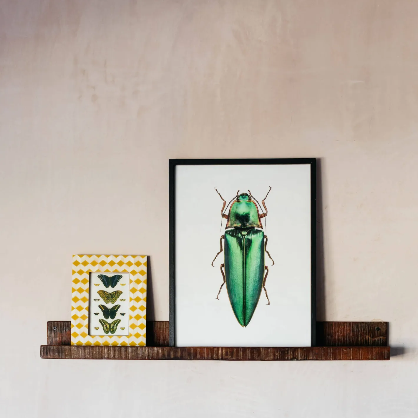 Graham & Green Shelves & Bookcases<Recycled Wood Photo Shelf