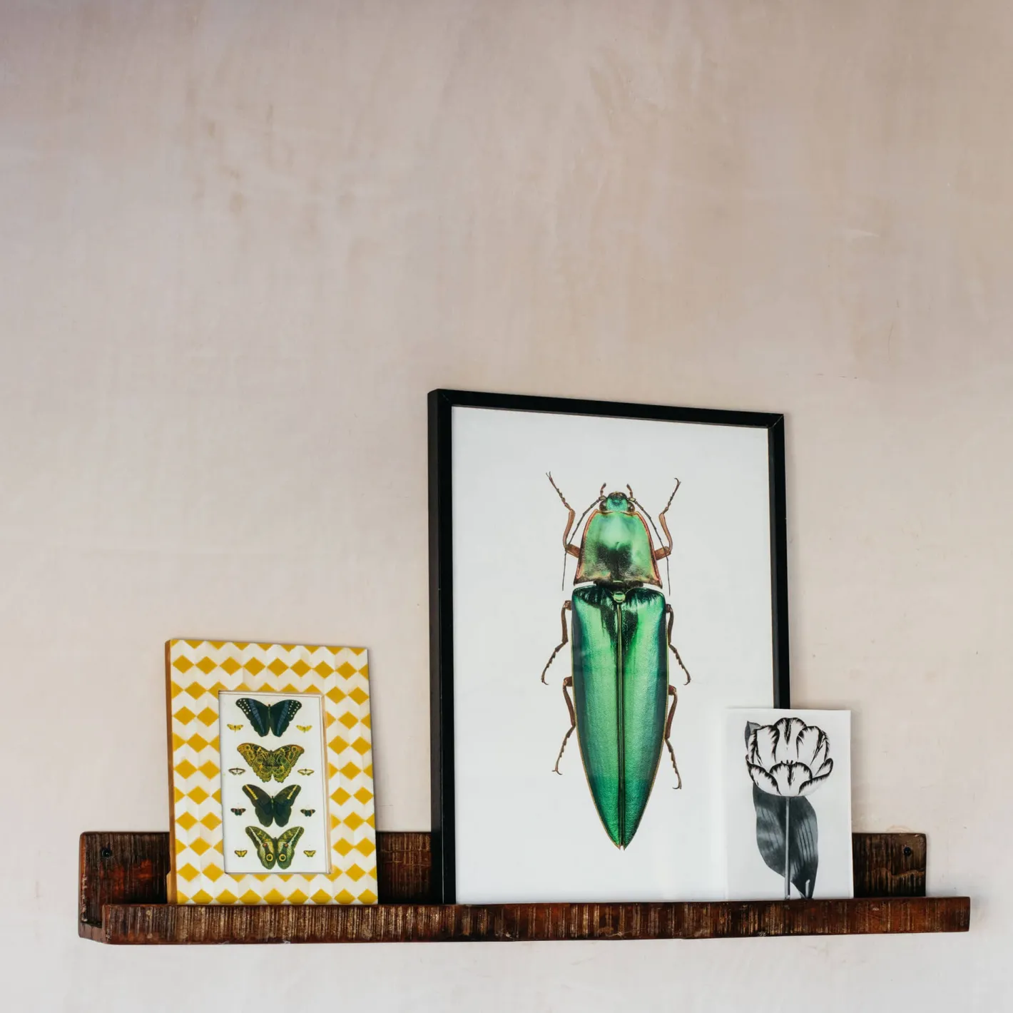 Graham & Green Shelves & Bookcases<Recycled Wood Photo Shelf