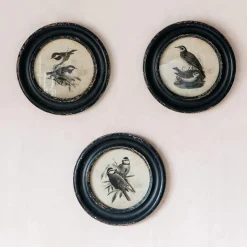 Graham & Green Prints & Wall Art<Round Framed Bird Prints
