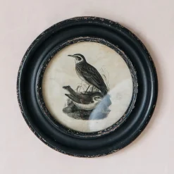 Graham & Green Prints & Wall Art<Round Framed Bird Prints