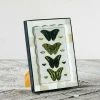 Graham & Green Photo Frames<Scalloped Bone and Horn Frame