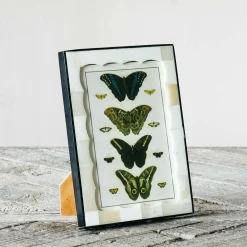 Graham & Green Photo Frames<Scalloped Bone and Horn Frame