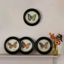 Graham & Green Prints & Wall Art<Set of Four Butterfly Prints