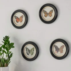 Graham & Green Prints & Wall Art<Set of Four Butterfly Prints