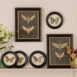 Graham & Green Prints & Wall Art<Set of Four Butterfly Prints
