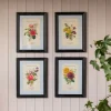 Graham & Green Prints & Wall Art<Set of Four Framed Vintage Flower Prints