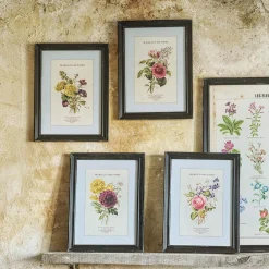 Graham & Green Prints & Wall Art<Set of Four Framed Vintage Flower Prints