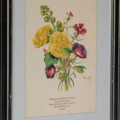 Graham & Green Prints & Wall Art<Set of Four Framed Vintage Flower Prints