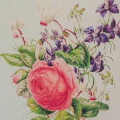 Graham & Green Prints & Wall Art<Set of Four Framed Vintage Flower Prints