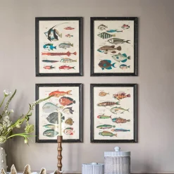 Graham & Green Prints & Wall Art<Set of Four Multicolour Fish Prints