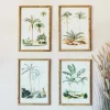 Graham & Green Prints & Wall Art<Set of Four Palm Tree Prints