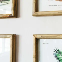 Graham & Green Prints & Wall Art<Set of Four Palm Tree Prints