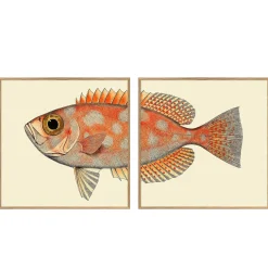 Graham & Green Prints & Wall Art<Set of Two Blotched Bigeye Print with Oak Frames