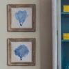 Graham & Green Prints & Wall Art<Set of Two Framed Blue Coral Pictures