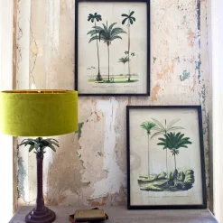 Graham & Green Prints & Wall Art<Set of Two Framed Palm Tree Prints