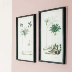 Graham & Green Prints & Wall Art<Set of Two Framed Palm Tree Prints