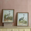 Graham & Green Prints & Wall Art<Set of Two Stork Prints