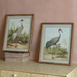 Graham & Green Prints & Wall Art<Set of Two Stork Prints
