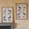 Graham & Green Prints & Wall Art<Set of Two Wading Birds Wall Art