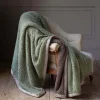 Graham & Green Sofa Throws|Throws & Blankets<Sherpa Throw Pistachio