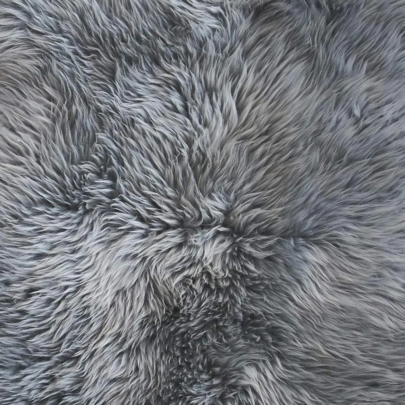 Graham & Green Sheepskins & Hides<Single Sheepskins