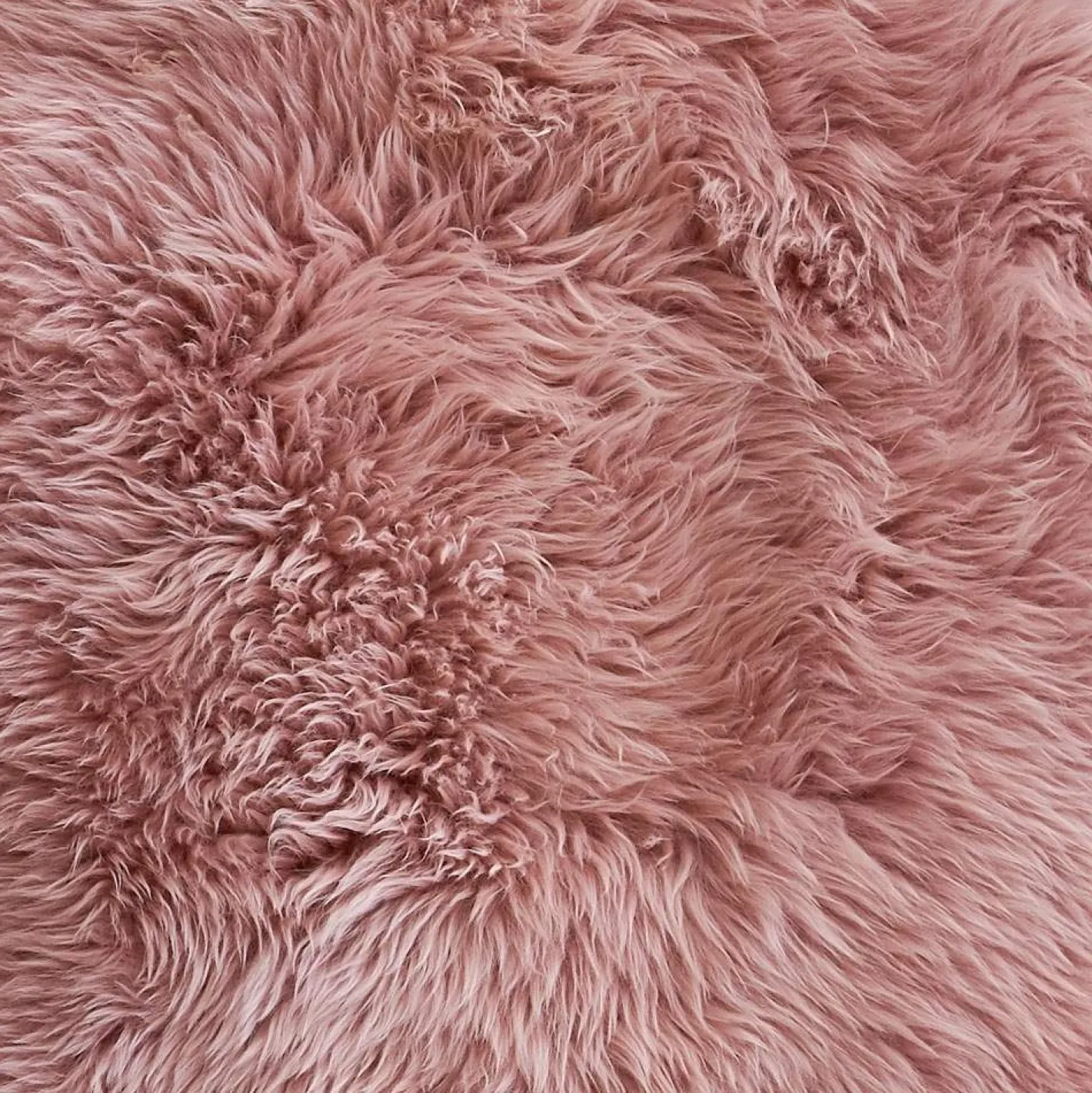 Graham & Green Sheepskins & Hides<Single Sheepskins