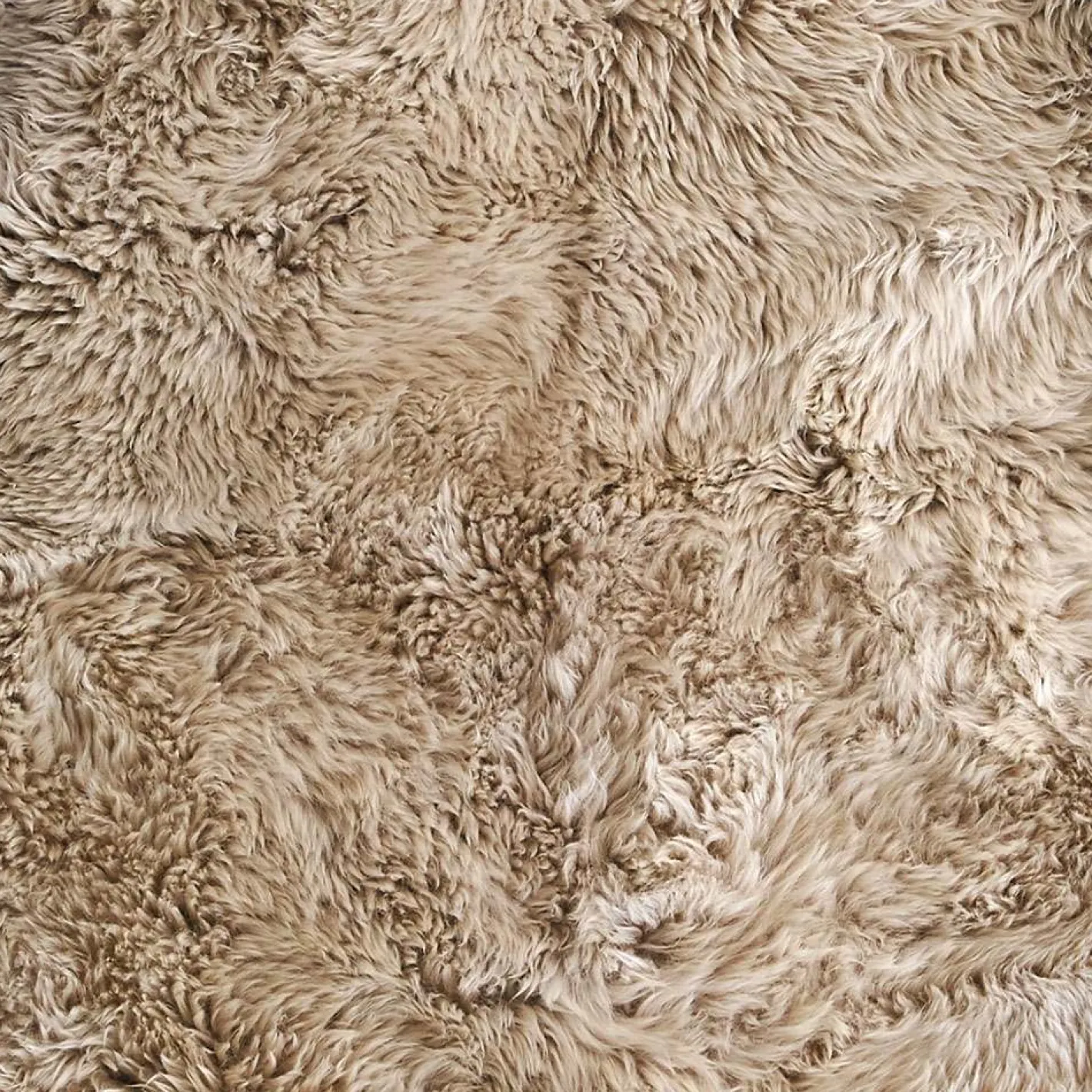 Graham & Green Sheepskins & Hides<Single Sheepskins