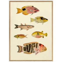 Graham & Green Prints & Wall Art<Six Fishes Print with Oak Frames