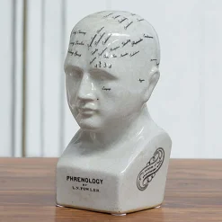Graham & Green Decorative Accessories<Small Ceramic Phrenology Head