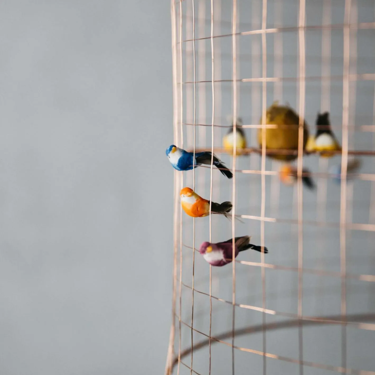 Graham & Green Animal Lights|Ceiling Lights & Chandeliers<Small Voliéres Bird Cage Pendant
