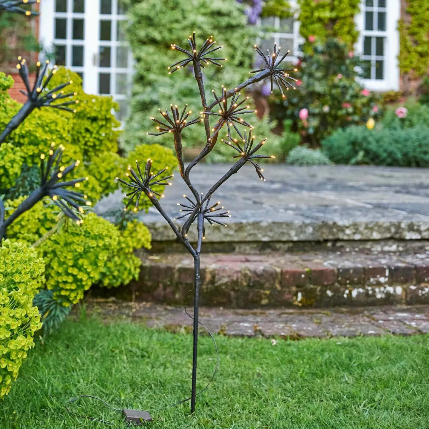 Graham & Green Garden Lights|Outdoor Lights<Starburst Branch Light