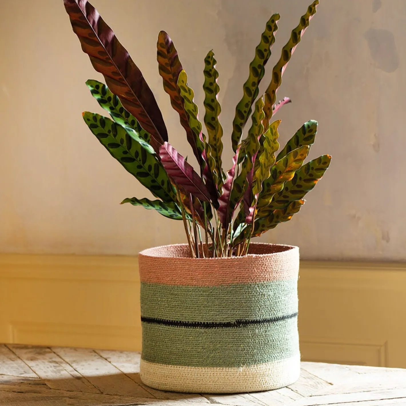 Graham & Green Vases & Plant Pots|Household Storage<Striped Rust and Green Basket