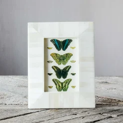 Graham & Green Photo Frames<Tapered White Bone Frame