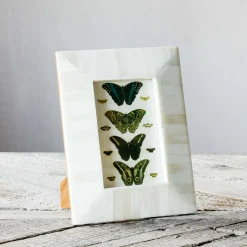 Graham & Green Photo Frames<Tapered White Bone Frame