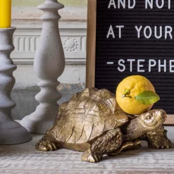 Graham & Green Decorative Accessories<Tarantino the Tortoise
