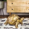 Graham & Green Decorative Accessories<Tarquin the Tortoise