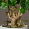 Graham & Green Decorative Accessories<Tiny Bike Plant Decoration