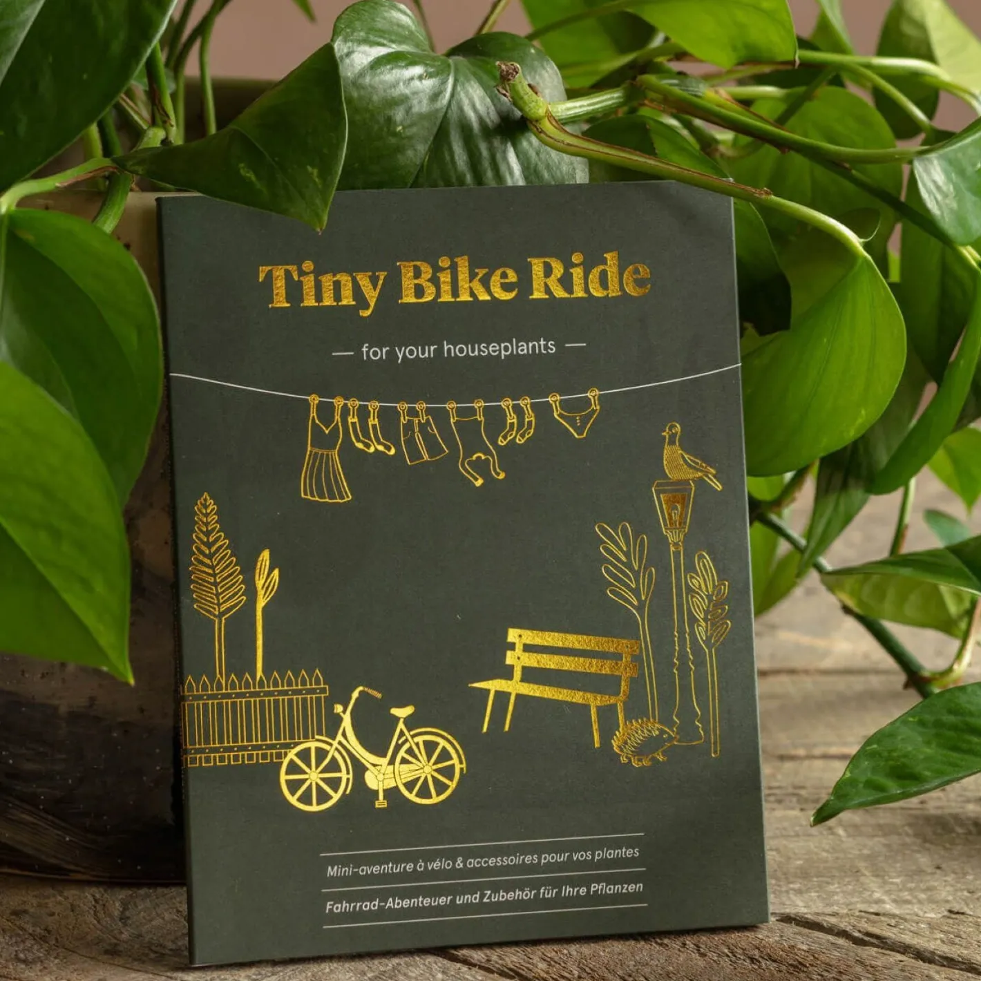 Graham & Green Decorative Accessories<Tiny Bike Plant Decoration
