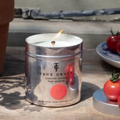 Graham & Green Candle Holders & Candles|Home Fragrance<Vine Tomato Tin Candle