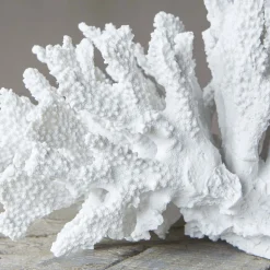 Graham & Green Decorative Accessories<White Ceramic Coral