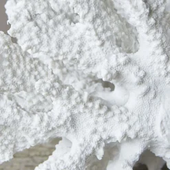 Graham & Green Decorative Accessories<White Ceramic Coral