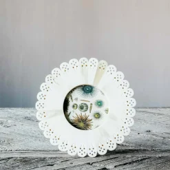 Graham & Green Photo Frames<White Doily Round Bone Frame