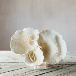 Graham & Green Decorative Accessories<White Faux Coral on Stand