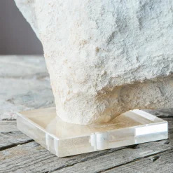 Graham & Green Decorative Accessories<White Faux Coral on Stand