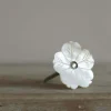 Graham & Green Knobs & Handles<White Shell Flower Knob