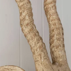 Graham & Green Decorative Accessories|Prints & Wall Art<Wooden Gazelle Head
